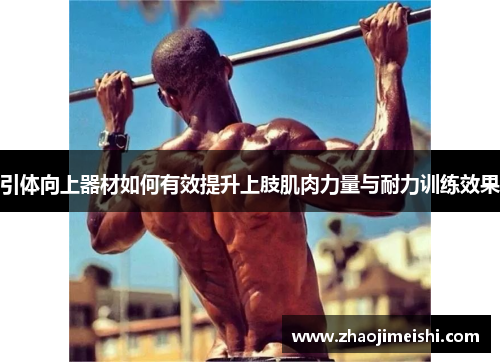 引体向上器材如何有效提升上肢肌肉力量与耐力训练效果