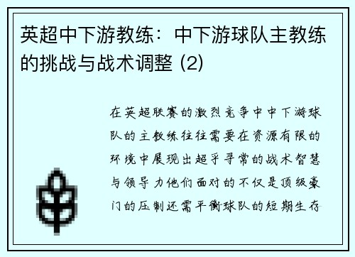 英超中下游教练：中下游球队主教练的挑战与战术调整 (2)